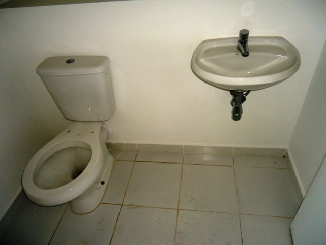fotos